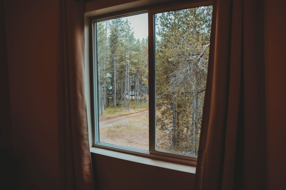 View out of window raised up in the pines.