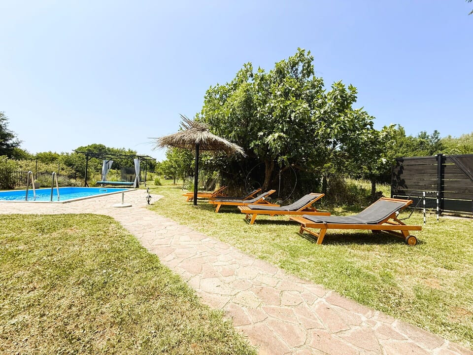 Autumn, Garden, Pool, Spring, Summer