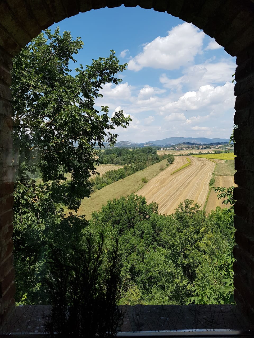View from property