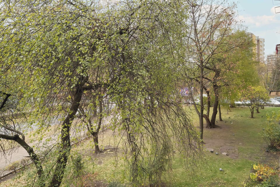 The view from the window overlooks the beautiful surrounding greenery.