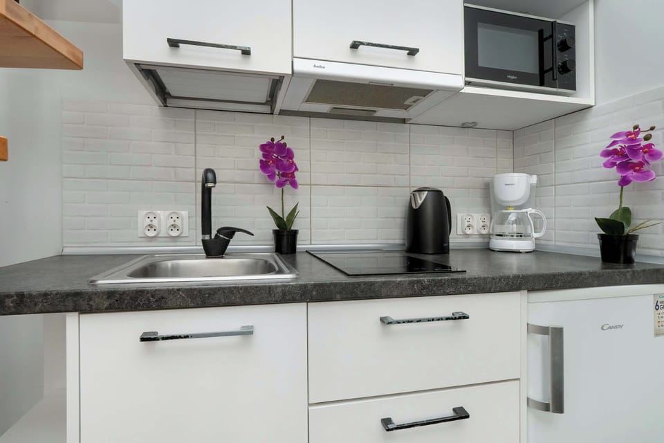 The kitchenette is bright and equipped with, among other things, a microwave oven, induction cooktop and coffee maker.
