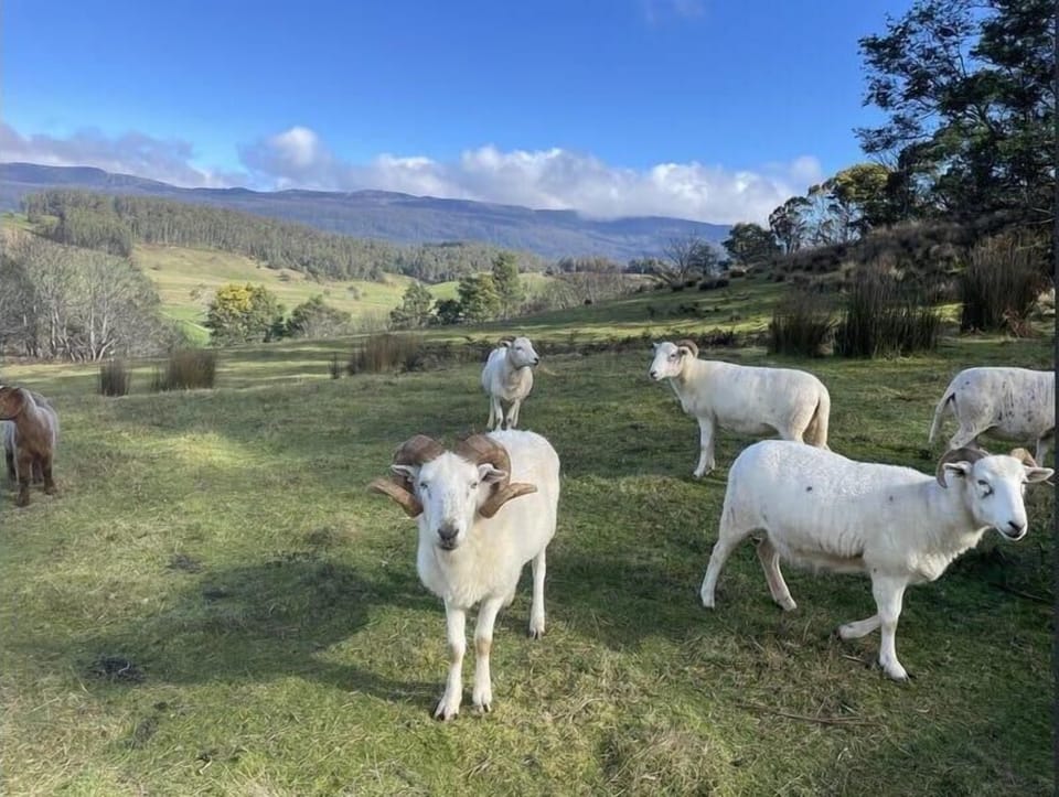 One Mile Bridge - Off Grid Stays 17