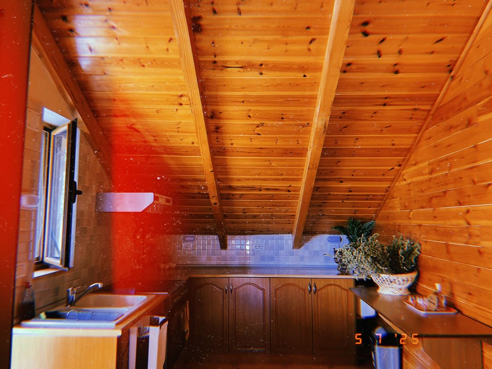 Kitchen full equipped for looking 