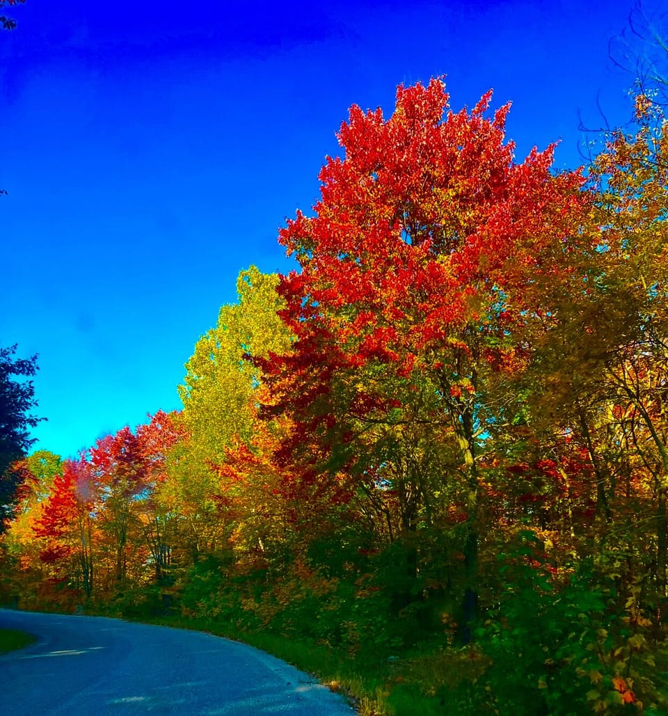 Fall colours are blooming, Time for a weekend getaway !!