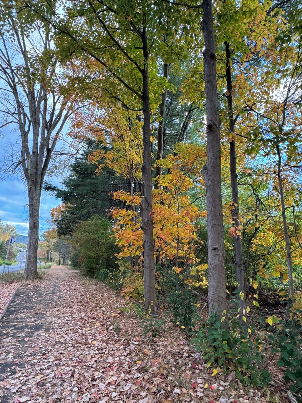 Walking trails