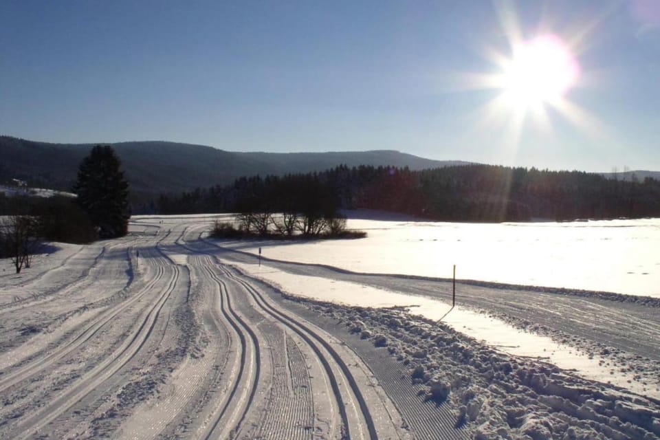 Region [winter] (>5 km)