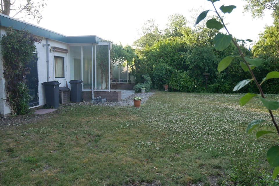 Garden [summer]