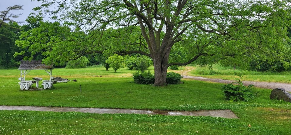 Back yard and Trail leading to acreage 