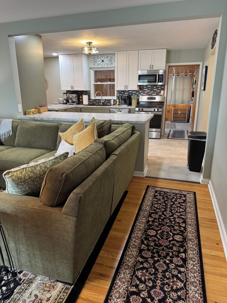 Open Concept Kitchen and Living 