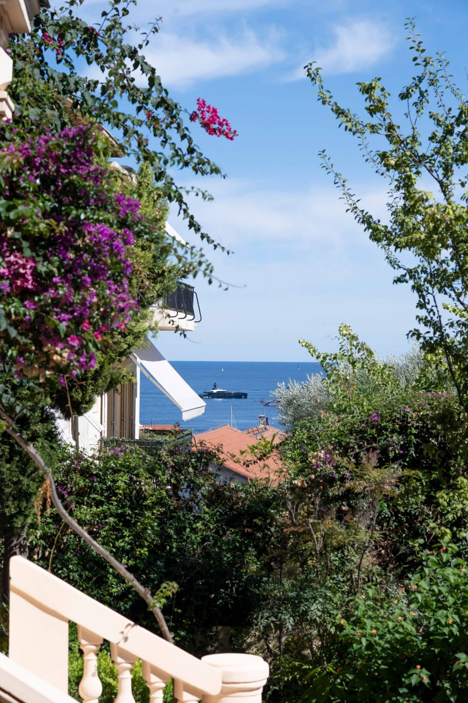 View from the living room