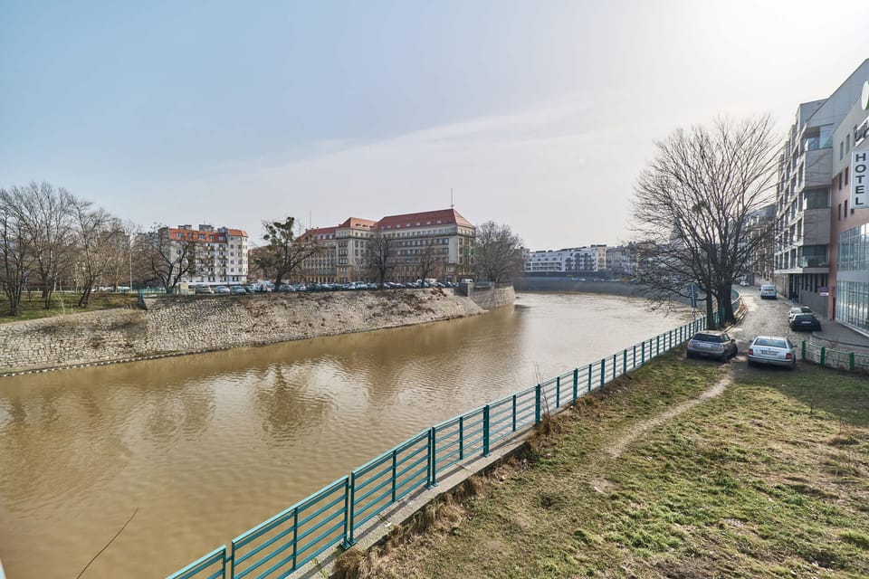 Green area with a visible river.