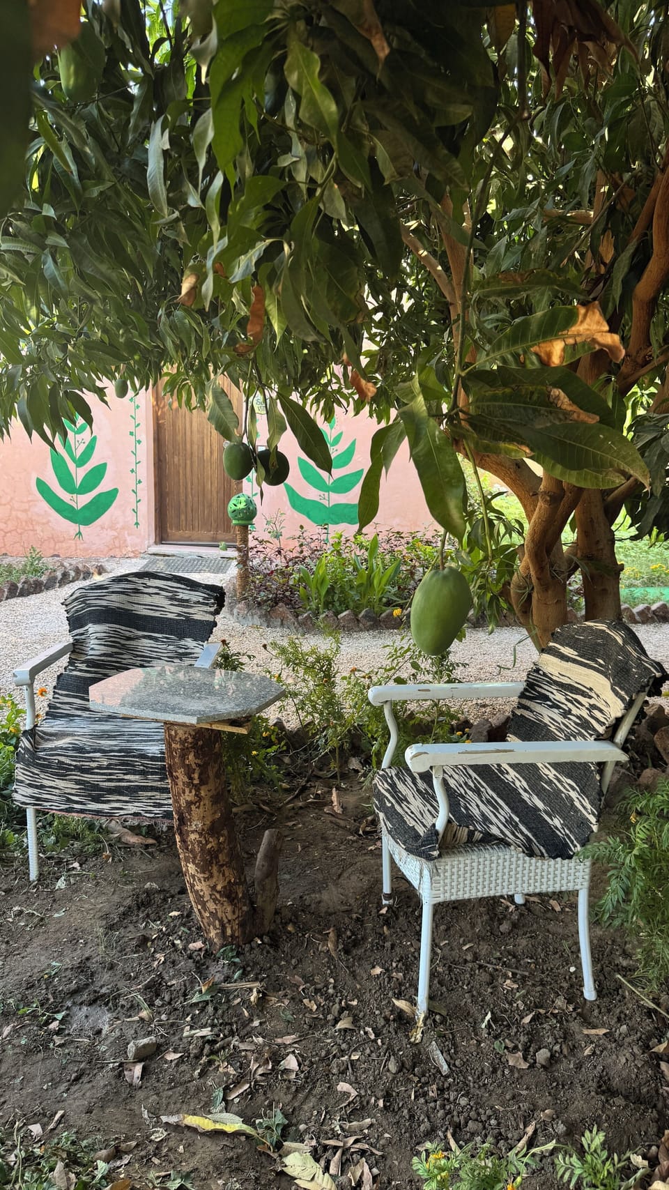 Setting area 