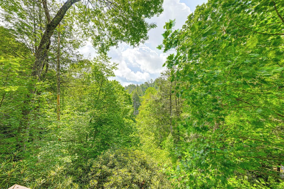 Property Surroundings