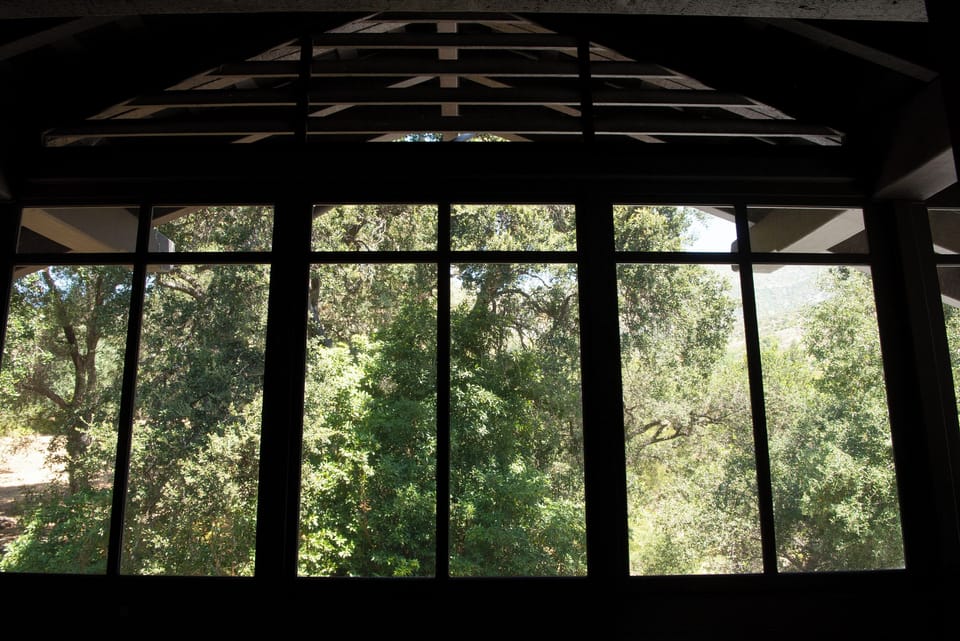 Sleeping Porch view from beds.