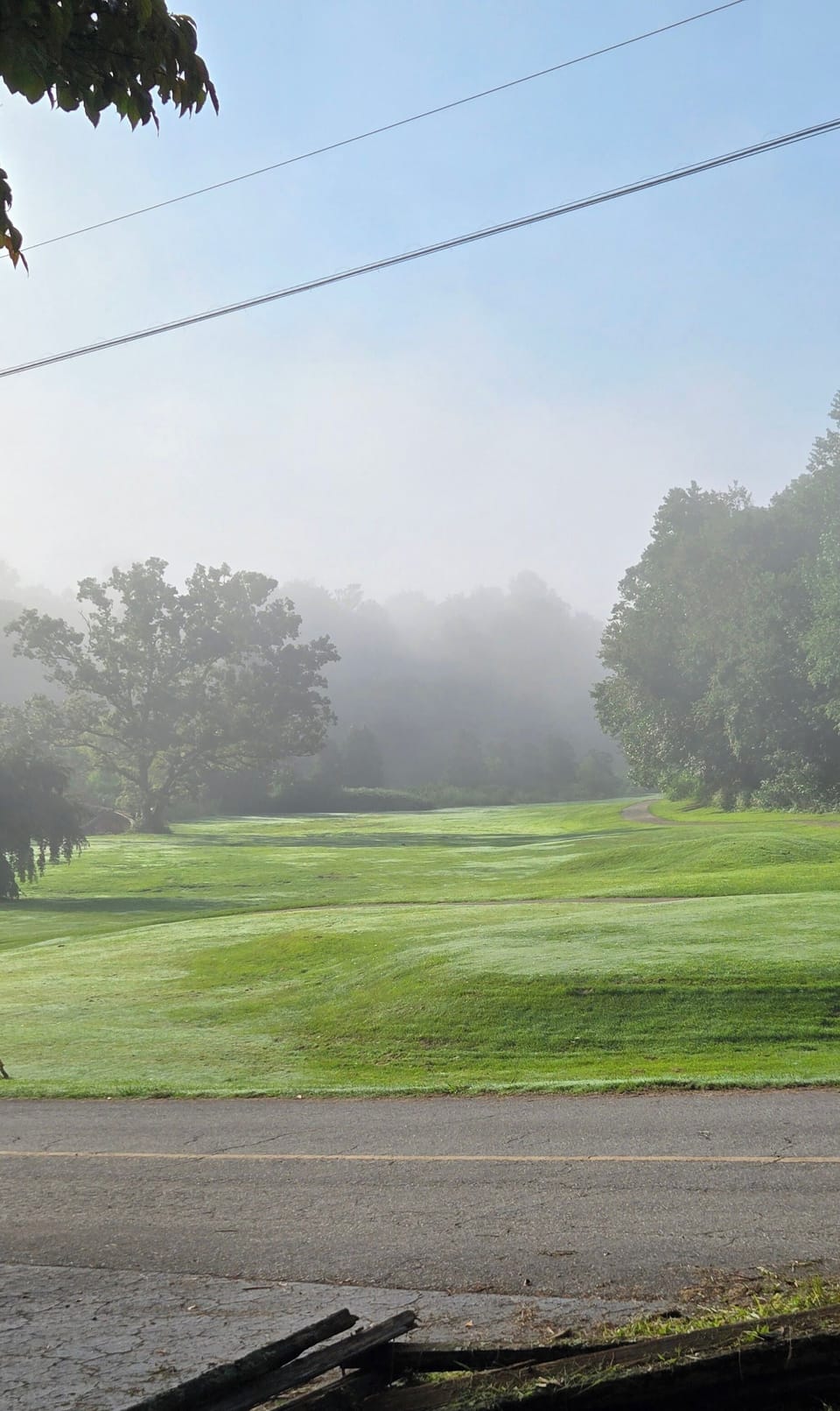 Front porch views on a foggy morning.