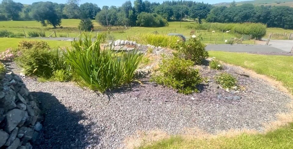 Image 14