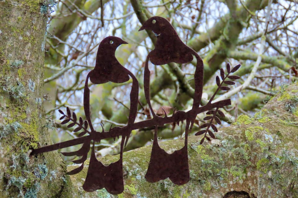 Bird spotting