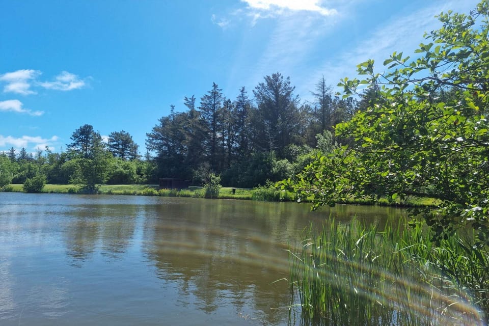 Water view