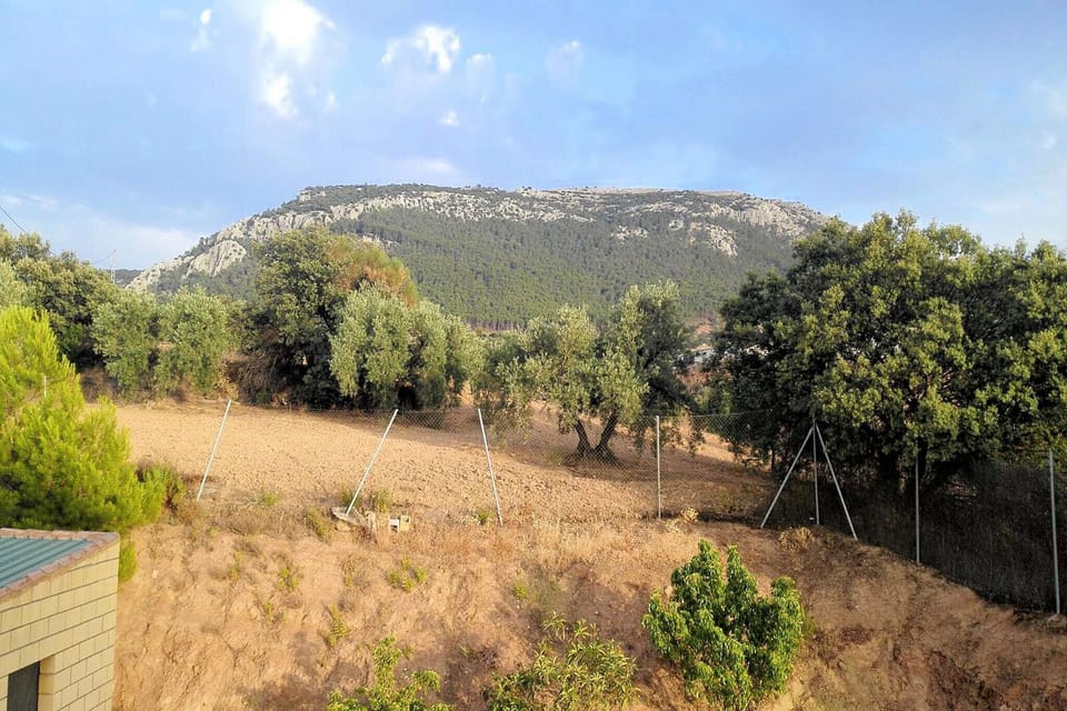 View from Holiday Home [summer]