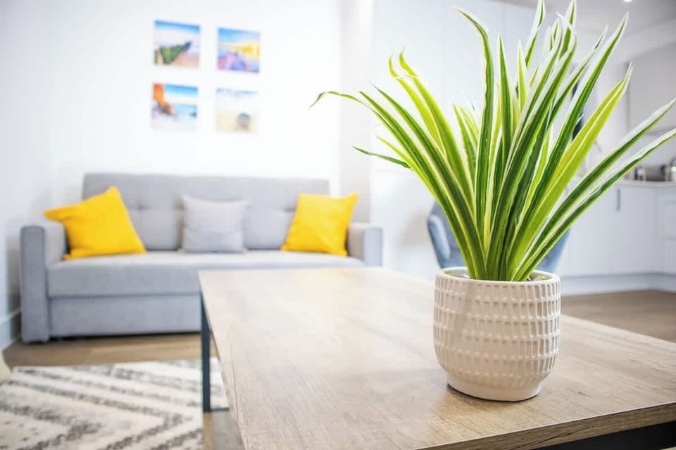 A stylish and functional space designed for enjoying meals, featuring a dining table and comfortable seating.