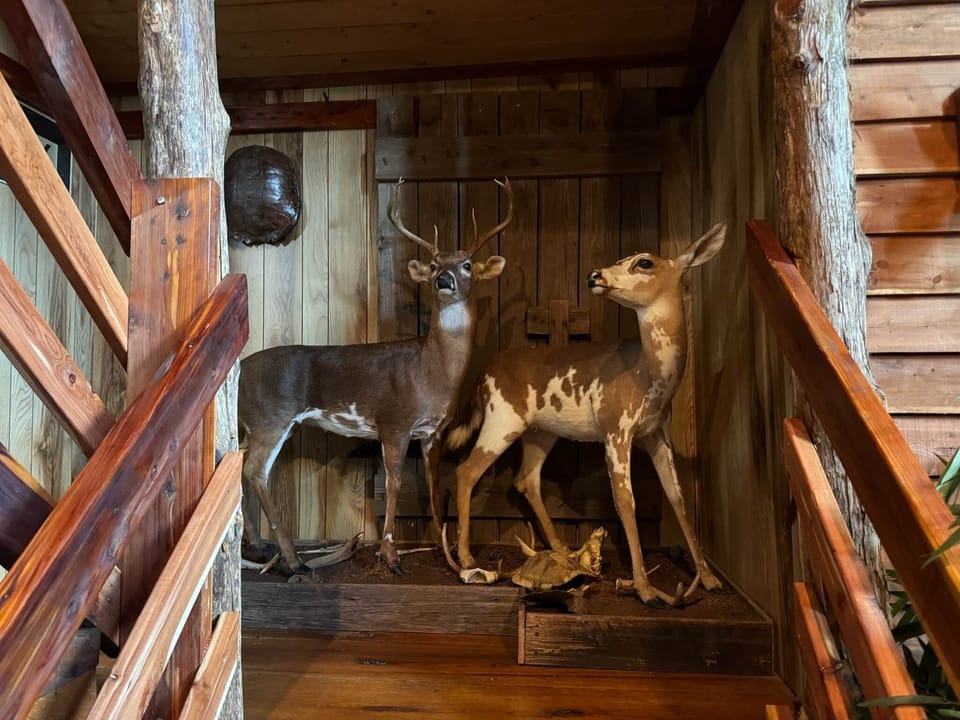 Lodge Stairway