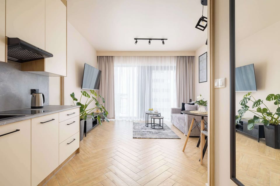 Spacious and bright studio with sofa, TV, dining area and kitchenette.