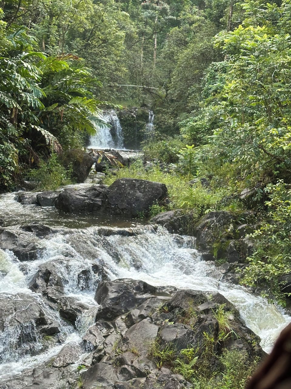 One of the many waterfalls you will find on Maui
