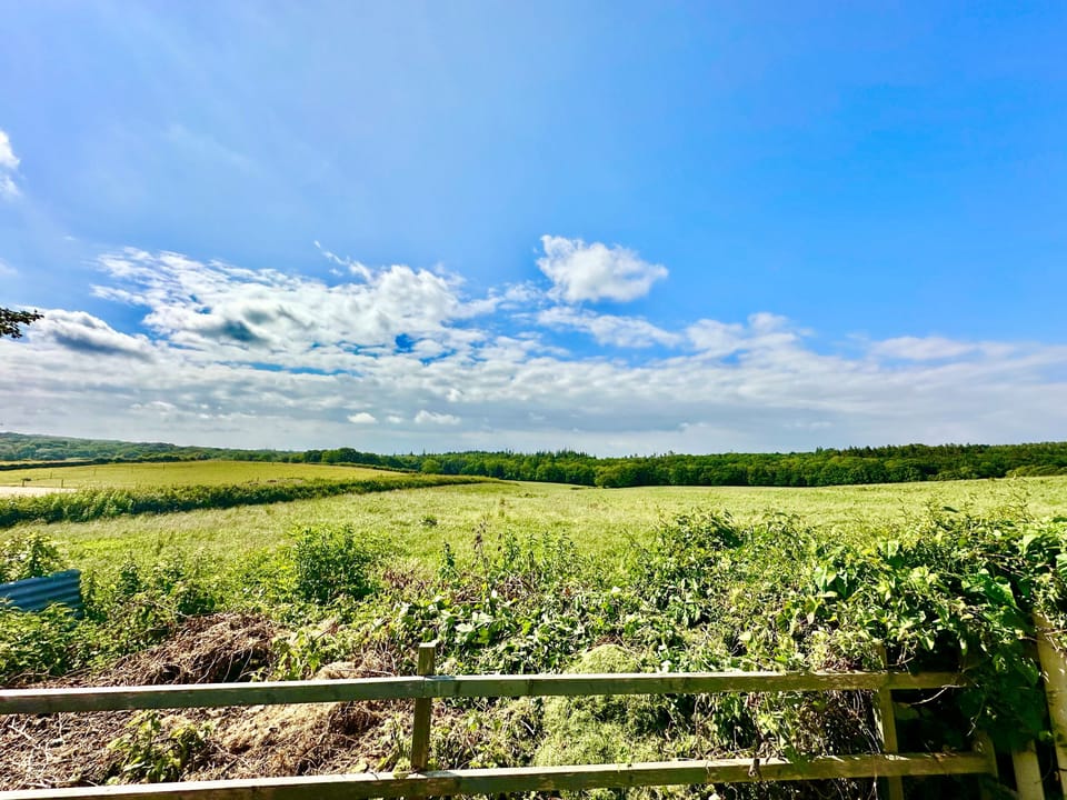 4 Longford Cottages, Havenstreet: Garden Views