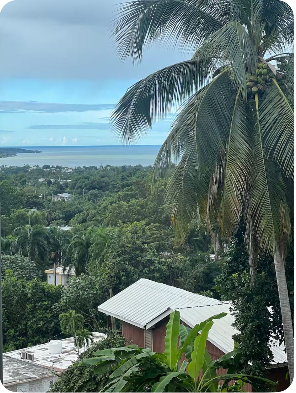 View from property