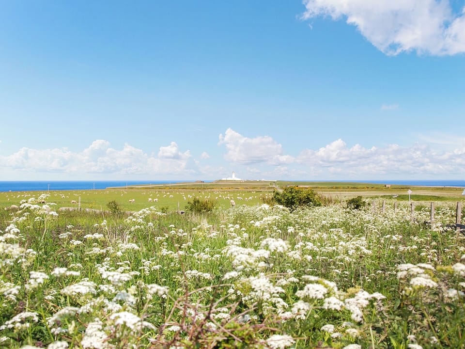 Surrounding area | Seaview Cottage, Wick