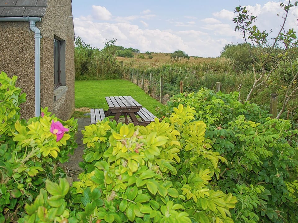 Outdoor | Seaview Cottage, Wick