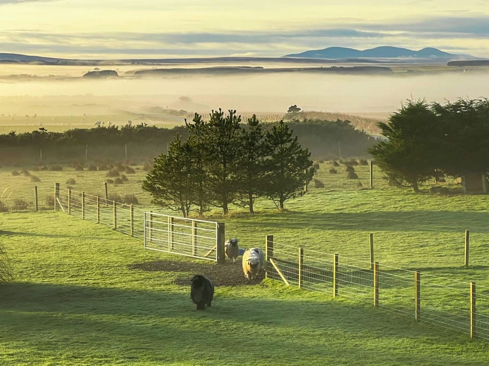 Surrounding area | Cater Tober Haven, Watten, near Wick