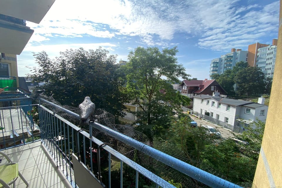 View from Holiday Home [summer]