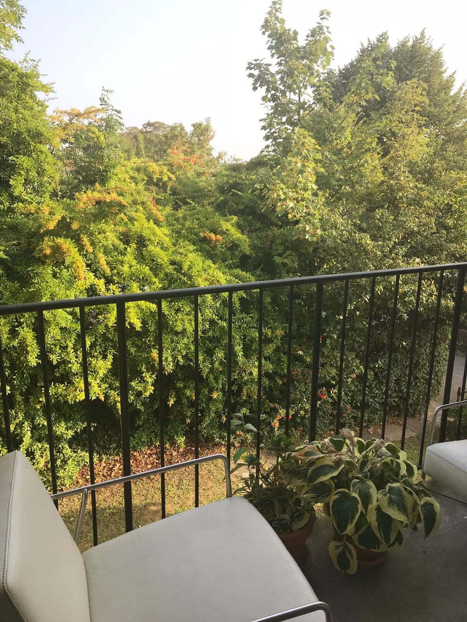 Balcony - secluded view surrounded by greenary 