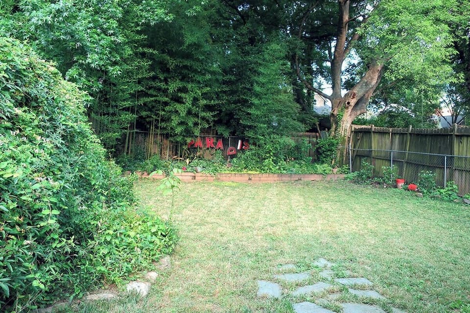 Back yard