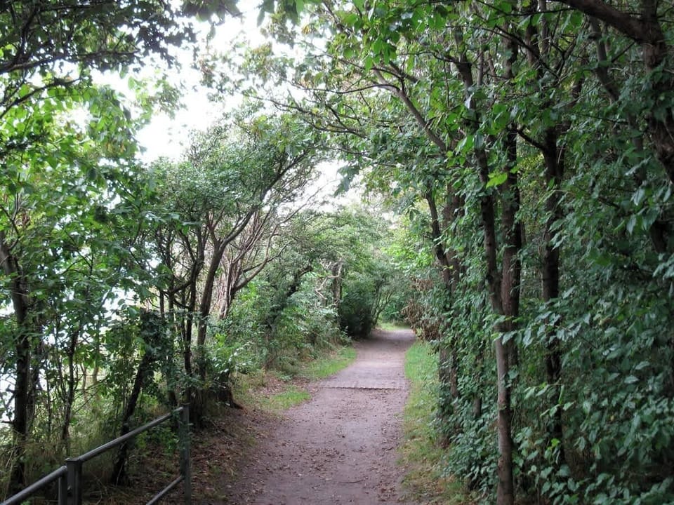 Küstenweg