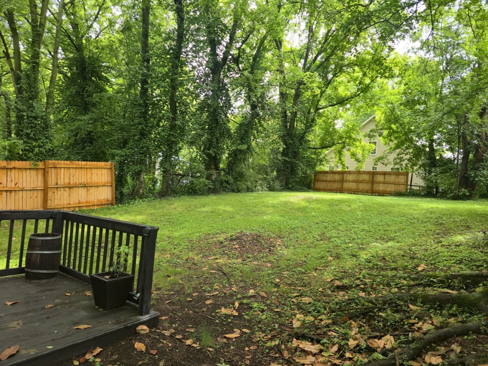 Private backyard with a patio and surrounded by mature trees.