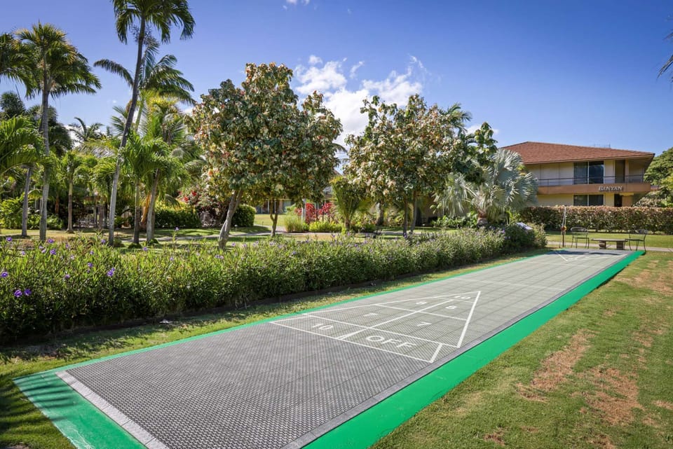 Shuffle Board