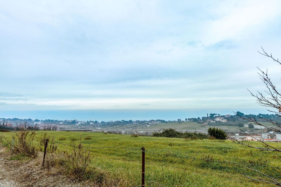 Scenic View