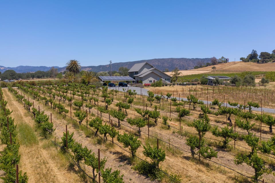 Pristine vineyard for a true Sonoma experience.