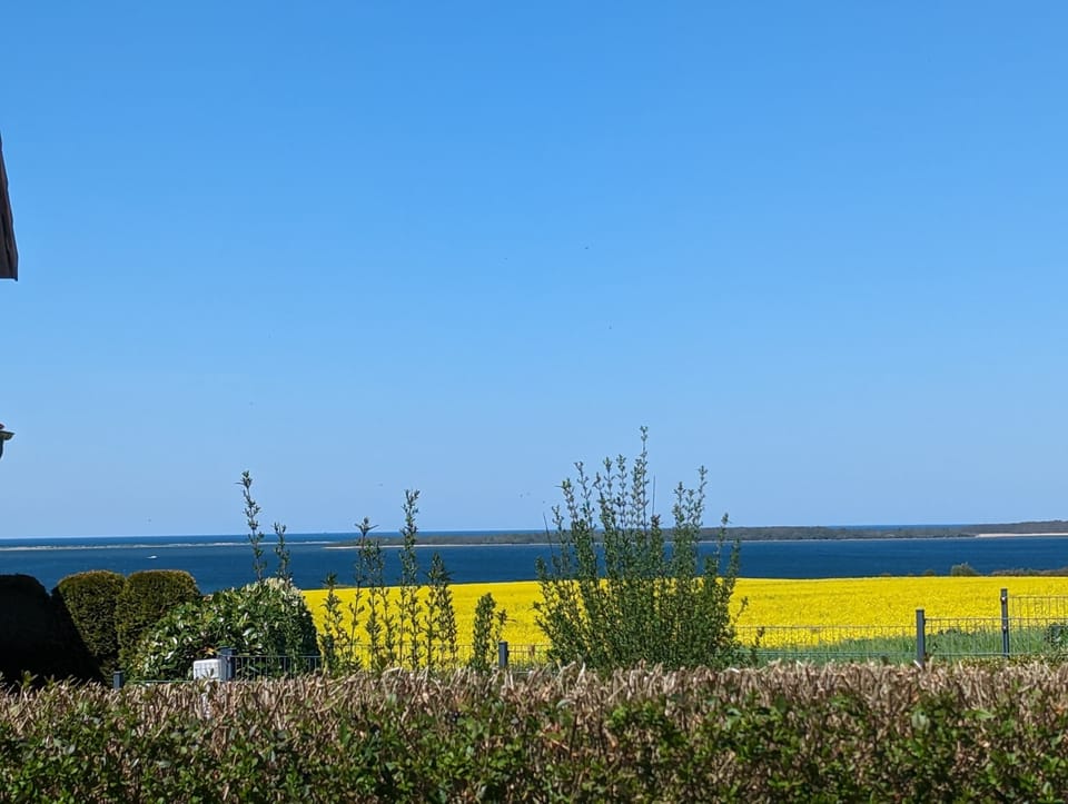 Ausblick