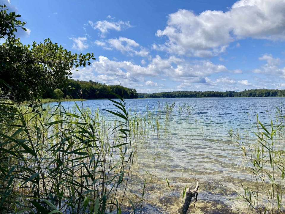 Labussee