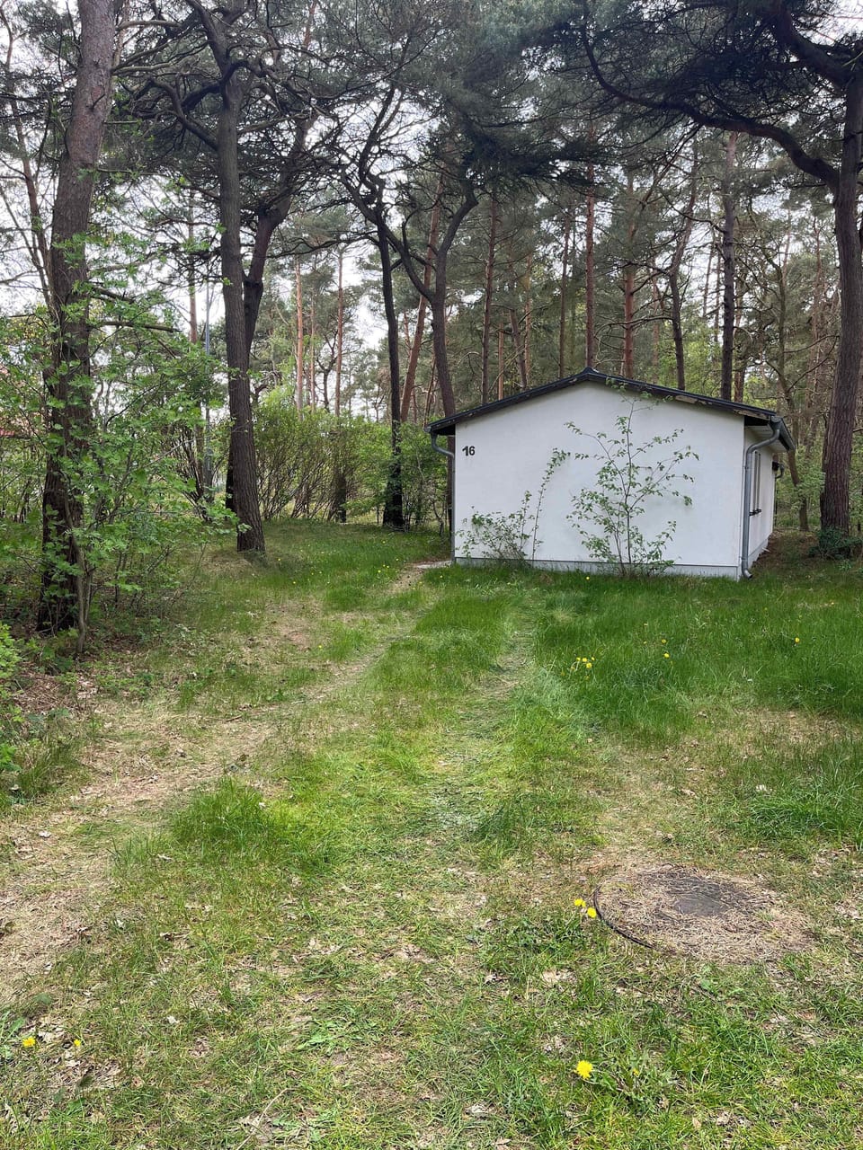 Bungalow
