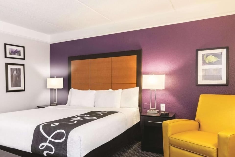 Unwind into crisp linens against a bold, stylish accent wall.