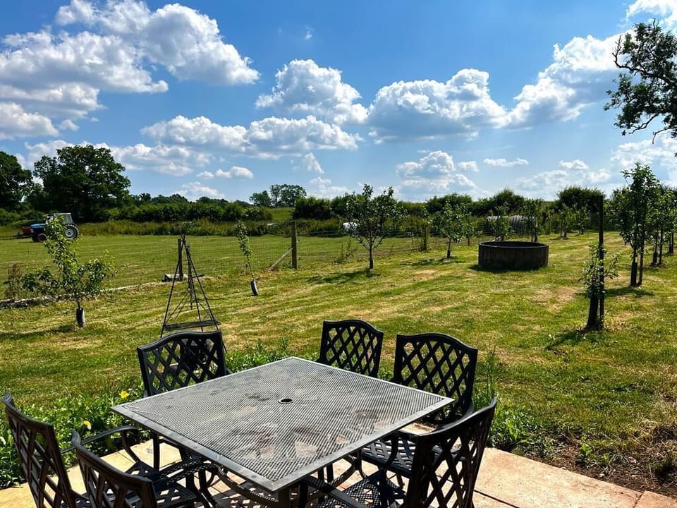 Back Garden