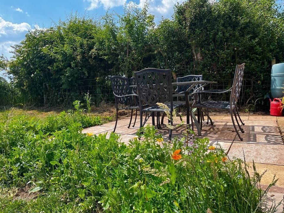 Back Garden