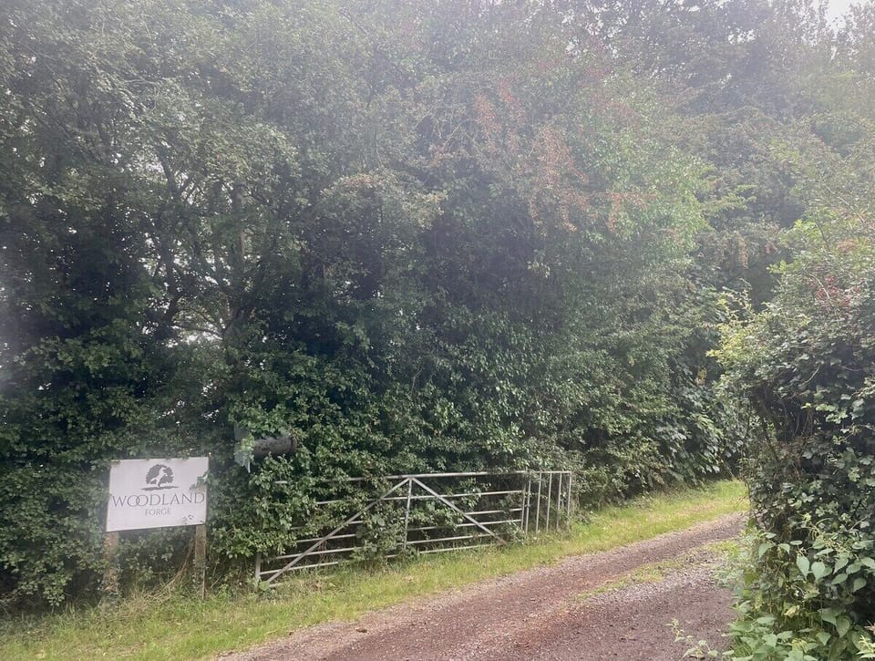 Local Area