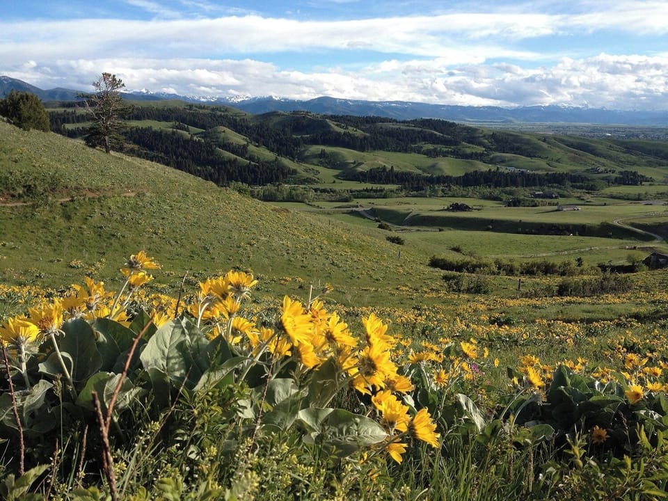 Explore open skies and rolling valleys just beyond town.