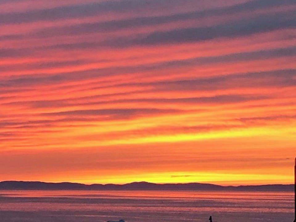 Surrounding area | Foreland Cottage, Ballantrae