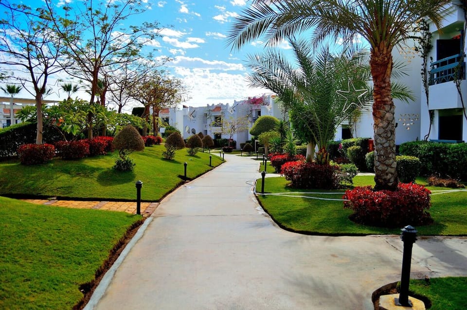Wander lush landscaped paths beneath palms and bright blue skies.